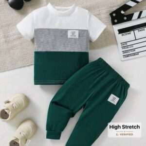2pcs/Set Baby Boy Fall Colorblock Casual All-Match Short Sleeve T-Shirt And Long Pants Set