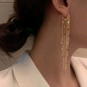Metal Tassel Decor Drop Earrings
