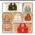Autumn Winter Soft Plush Faux Fur Handbag with Detachable Chain Strap & Wrist Lock Closure
