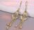 A Pair of Ear Hooks with Golden Tassels